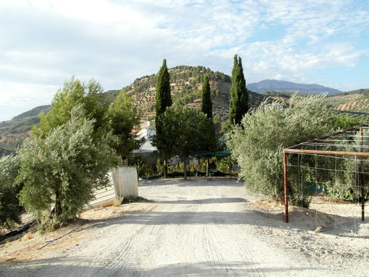 Cortijo De Chivarrez. Camino Las Salinas