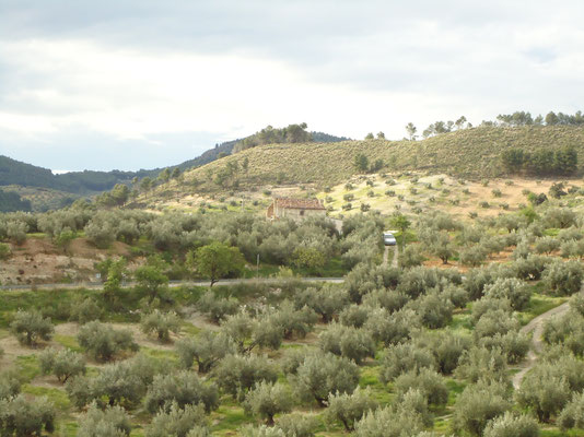 Al fondo el cortijo de Vale. Camino El Portillo