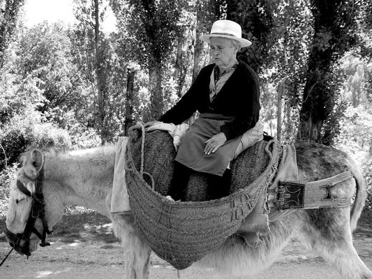 Nuestro medio de transporte en el campo