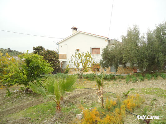 Cortijo El Salinero. Carretera de Alcaudete