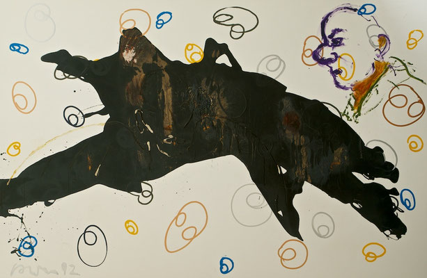 „Kontinente 1-6“, (North America), je 270x180cm, Mischtechnik auf LW, 2012