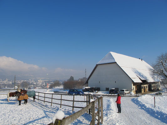 gratis Winterfoto Solothurn