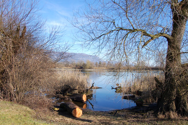 Ausflug Aare Bielersee