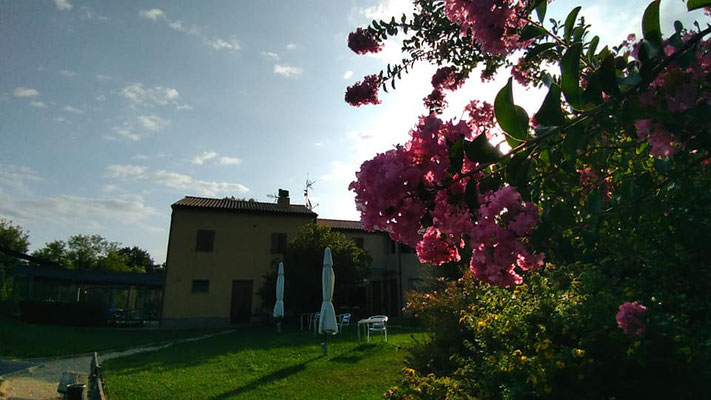 Agriturismo Accipicchia