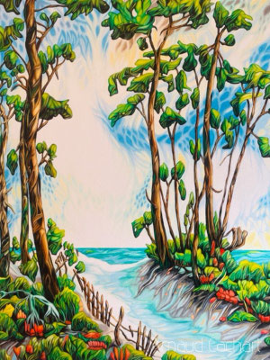 Home - dimensions 25F (81x65)