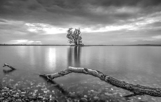 Black And White Nschlatterers Webseite