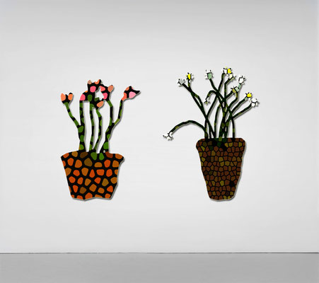 The flowers pots