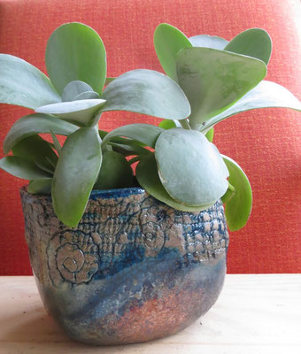 pot carré turquoise pour succulentes