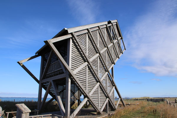 Aussichtturm im Naturschutzgebiet