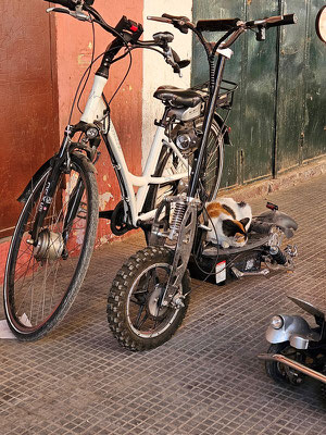 wo auch eine Katze mal einen (fast) fahrbaren Untersatz findet