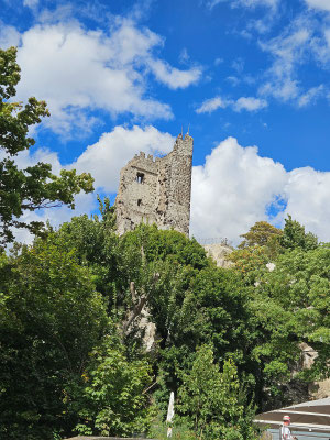 die Burg auf dem Drachenfels - oder was davon noch steht