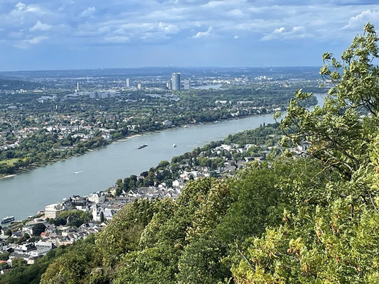 nochmals die Aussicht auf den Rhein
