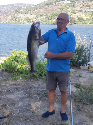 am Sonntag kommt noch ein Kollege von Ventura, und der holt einen 5 kg Brocken raus!