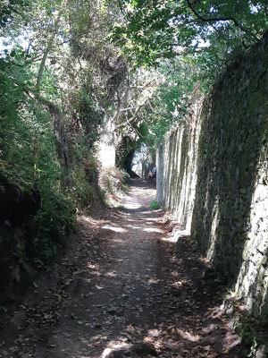 ein Spaziergang in auf die Hügel der Region