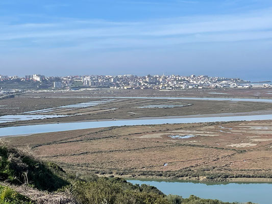 Larache 