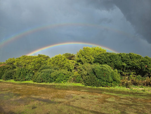 danach gab es einen tollen Regenbogen