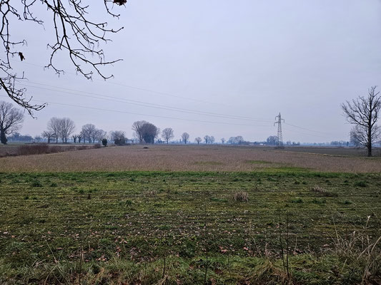 nur ca. 2 km von der Autobahne entfernt, aber total ruhig!