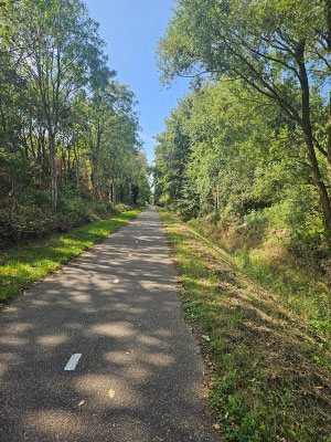 sobald Bäume die Strasse säumen ist der Wind fast nicht mehr zu spüren