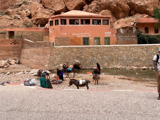 hier ist die untere Quelle des Oued Todgha, weiter oben ist ein Staudamm, der das Wasser zurückhält - siehe später im Blog