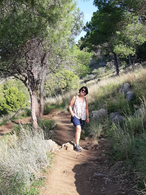 ein gut ausgebauter Weg führt auf den Hausfelsen von Cefalù