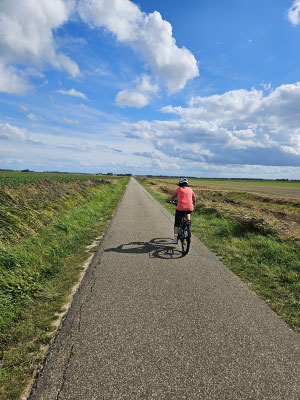 und Fahrradwege gibt es gleich durch die Dünen