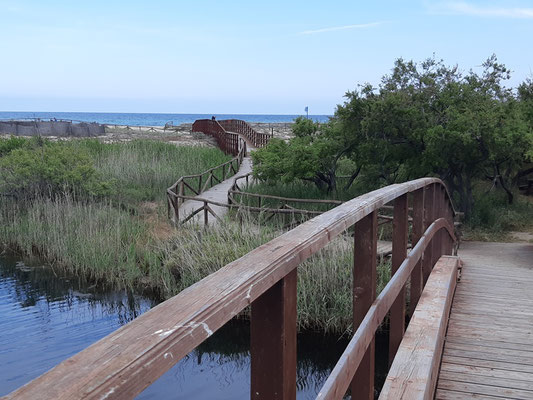 zum Strand geht es über eine Brücke und einen Steg - denn auf die Düne sollte man wie gesagt nicht treten ...