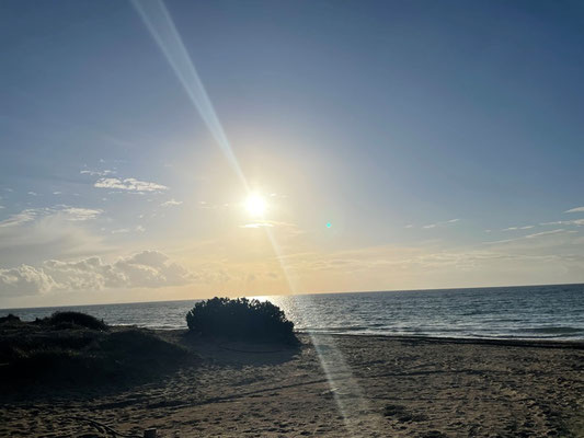 der untergehenden Sonne entgegen