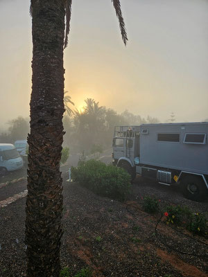 Am Morgen liegt doch tatsächlich Nebel über dem Gelände