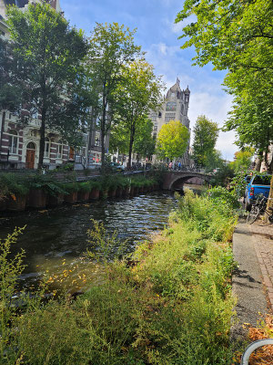 viel Grün gibt es in Amsterdam auch