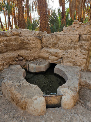 wir sehen auch mehrere Brunnen, wo ganz klares Wasser direkt unter der Oberfläche fliesst