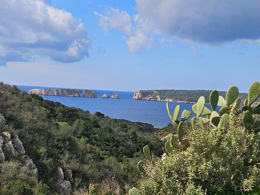 letzter Blick auf die Navarino Bucht