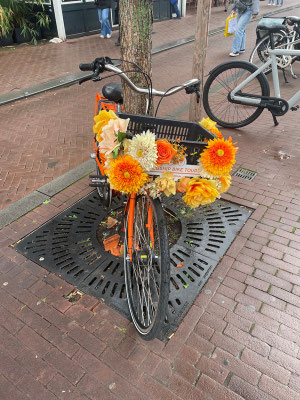 auch ein Fahrrad ist Kunst!