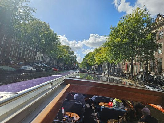 Tausende von Ulmen säumen die Grachten in Amsterdam