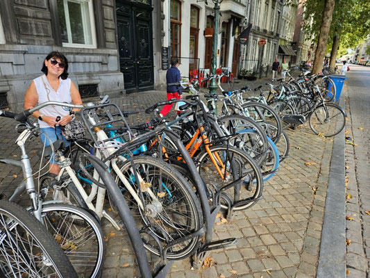 das meistgenutze Verkehrsmittel in Holland!
