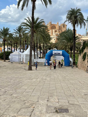 im Zentrum, gleich unterhalb der Kathedrale laufen die Vorbereitungen für den Mallorca-Marathon, welcher am Sonntag durchgeführt wird