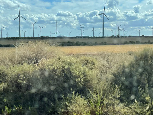 unterwegs sehen wir mehrere grosse Windfarmen