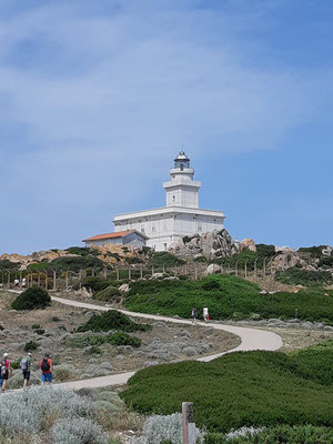 der neue Leuchtturm auf Capo Testa