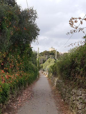 der Weg zum Capo Milazzo mit dem "Faro - Leuchtturm"