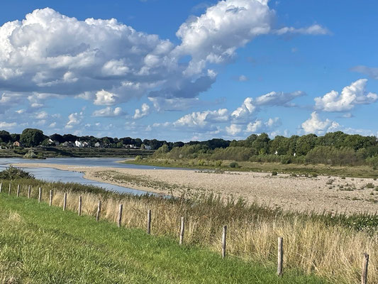 schöne Landschaften mit Wasser, Schilf, Sand, Grass, ...