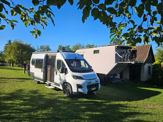Gustine darf neben dem grossen Twin im Garten stehen