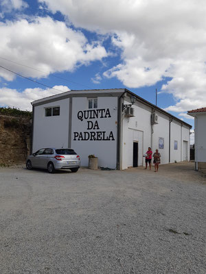der Keller der Quinta de Padrela, wo alle Arbeiten gemacht und die Tanks und Fässer gelagert werden