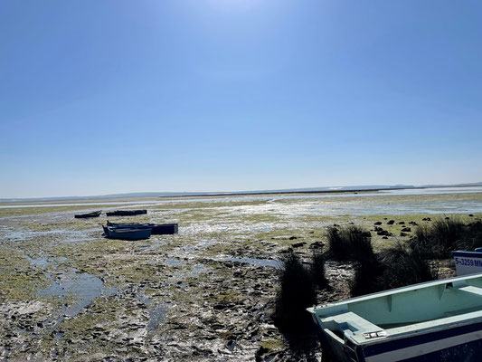 die Lagune von Moulay-Bousselham, oder auch "Merja Zerga"
