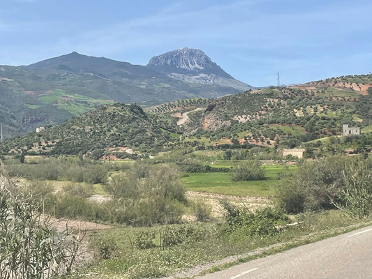 das Riffgebirge ruft