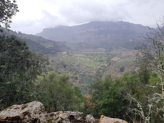 im Tramuntana Gebirgen könnte man meinen der Herbst habe begonnen - hat er ja eigentlich auch, aber doch nicht bei uns ...