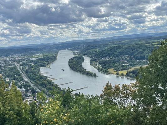 direkt auf den Rhein