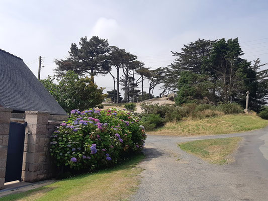 Gärten mit Granitfelsen statt Rasen oder Blumen