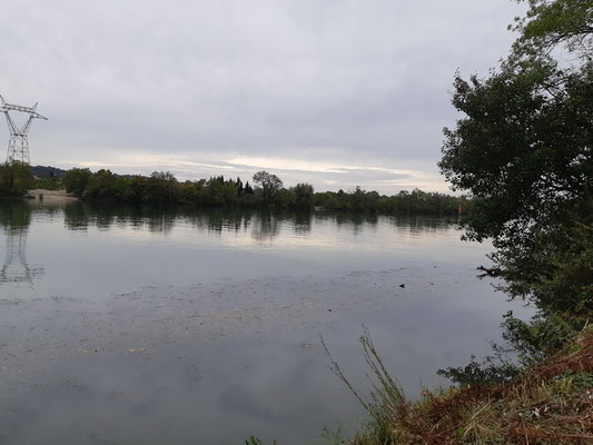 die Rhone bei Avignon