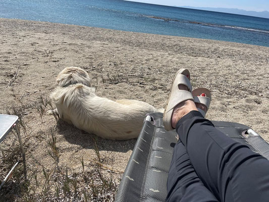 wir haben ihn "Amigo" getauft - es sei der Hund eines Amigos, erzählt ein Anwohner