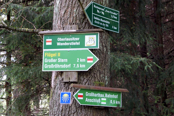 Bild: Seeligstadt Umgebung Massenei Großer Stern