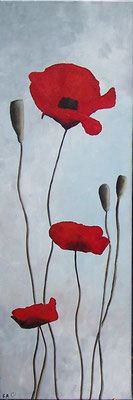 Mohn No. 1